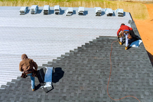 Best Local Roofing Companies  in Quinnesec, MI