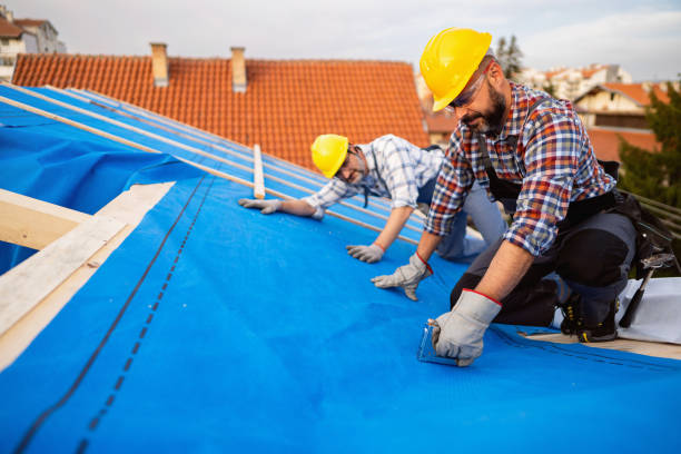 Best Metal Roofing Contractor  in Quinnesec, MI